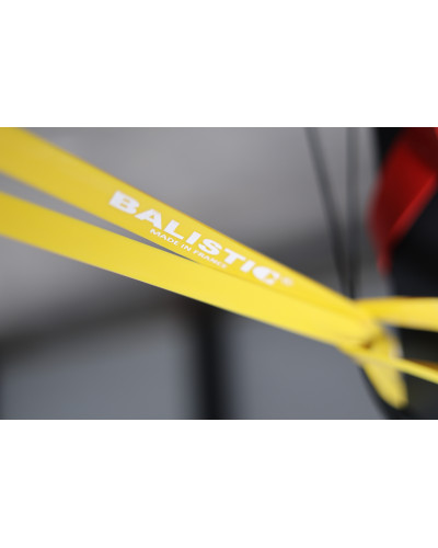 SET DE 2 POWER BANDS 18 KG